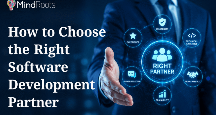 Choosing the Right Software Partner (1)